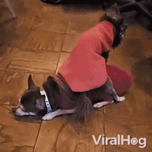 Dogs Sitting On Each Other Viralhog GIF - Dogs Sitting On Each Other Viralhog Dogs Funny Sitting Position GIFs