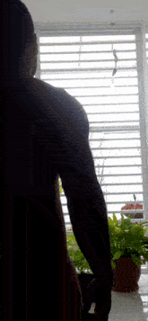 a person standing in front of a window with a plant in the foreground