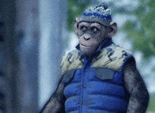 Thumbs Up Ape GIF - Thumbs Up Ape Catfoodcannon GIFs