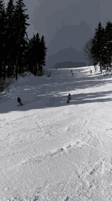 Skiing Snow GIF - Skiing Snow Winter GIFs