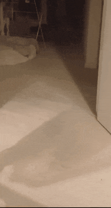 a shadow of a person is cast on the floor in a dark room