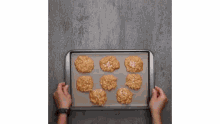 a person is holding a pan filled with cookies on a table .