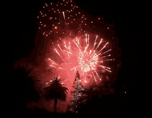 Redwood City Christmas Fireworks 2014 GIF