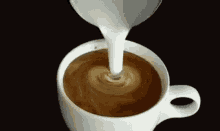 Coffee Coffee Creamer GIF