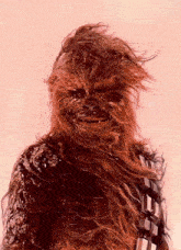 Character-chewbacca Snowy-image GIF