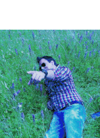 a man in a plaid shirt is laying in a field of purple flowers and pointing