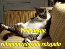 Gato Flojo GIF - El Mango Relajado El Cuerpo Relajado Wapayasos GIFs