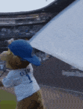 Chicago Cubs Clark The Cub GIF