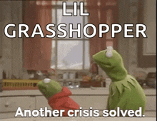 two kermit the frogs are standing in a kitchen with the words lil grasshopper another crisis solved below them