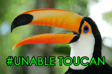 Toucan Unable Toucan GIF