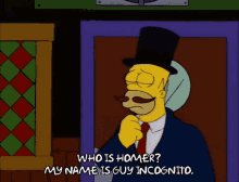 Guy Incognito Don Incognito GIF - Guy Incognito Don Incognito Homer Simpson GIFs