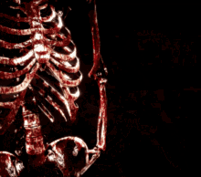 Mortal Kombat GIF - Mortal Kombat Skeleton GIFs