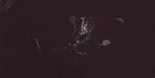 a spider is crawling on a dark surface with a purple background