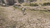 a man walking down a stone path in a game