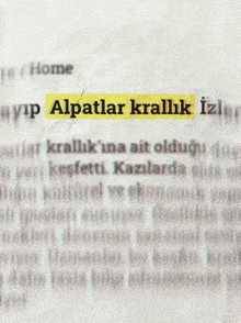 a blurred image of a foreign language text with the word diplomaside highlighted