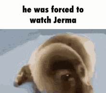 Jerma Jerma985 GIF - Jerma Jerma985 He Was Forced To GIFs