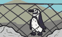 Pinguinitis GIF - Pinguinitis GIFs