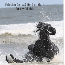 Friesian Friesian Horse GIF - Friesian Friesian Horse Beach Ride GIFs