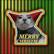 Christmas Merry Christmas GIF - Christmas Merry Christmas Cat GIFs