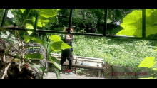 a picture of a park with the words coyotestyle.ro on the bottom right