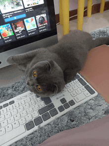 a cat laying on top of a white keyboard with the ctrl key on it