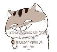 Cute Cat Shy GIF - Cute Cat Shy Smile GIFs