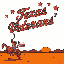 protect texas veterans right to vote cowboy horse desert