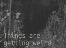 weird things