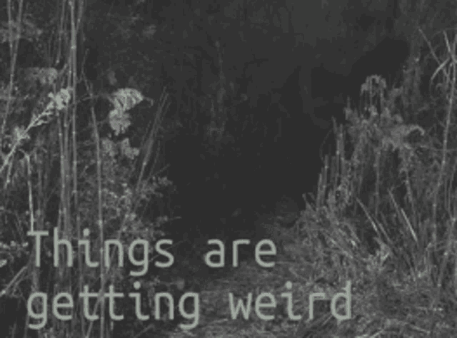 Things Are Getting Weird Get Weird GIF - Things Are Getting Weird Getting Weird Get Weird GIFs