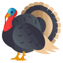 turkey nature joypixels huge domestic bird thanksgiving day
