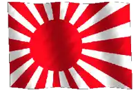 a red and white striped flag with a white border
