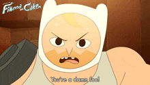 You'Re A Damn Fool Finn GIF - You'Re A Damn Fool Finn Adventure Time Fionna And Cake GIFs