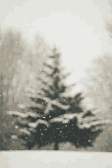 Falling Snow GIF