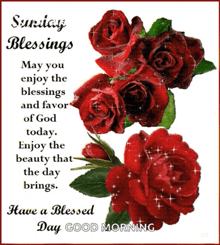 Sunday Blessings May You Enjoy The Blessings And GIF
