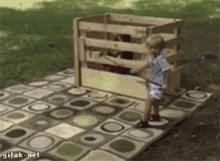 Rodeo Pbr GIF - Rodeo Pbr Cute GIFs