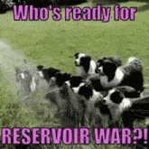 Nekoant Reservoir War GIF - Nekoant Reservoir War Pns GIFs
