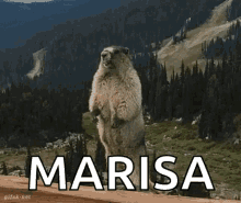 Marisa Mt GIF - Marisa Mt 1984 GIFs