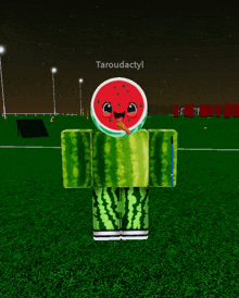 a person dressed as a watermelon with the name taroudactyl on the bottom right