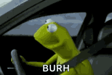 Bruh Seriously GIF - Bruh Seriously Kermit GIFs