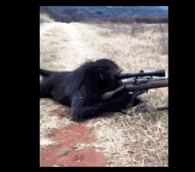 Sniper Monkey GIF