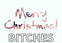 the words merry christmas bitches are written on a white background .