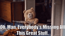 Ted Tv Show Oh Man Everybodys Missing All This Great Stuff GIF