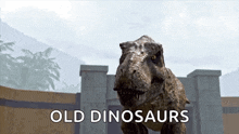 Dinosaur Dinosaurs GIF - Dinosaur Dinosaurs T Rex GIFs