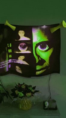 shrek 's face is displayed on a television screen