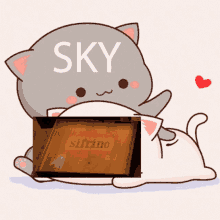 Aikanoodle Sifrino GIF - Aikanoodle Sifrino Sky GIFs