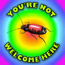 Youre Not Welcome Here Cockroach GIF - Youre Not Welcome Here Not Welcome Cockroach GIFs