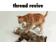 Thread Revive Discord GIF - Thread Revive Discord Discord Thread GIFs