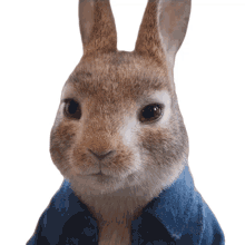 really peter rabbit peter rabbit2the runaway i dont think so its not like that