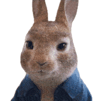 Really Peter Rabbit Sticker - Really Peter Rabbit Peter Rabbit2the Runaway Stickers