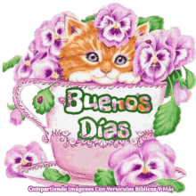 Buenos Dias Good Morning GIF - Buenos Dias Good Morning Kitty GIFs